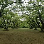 Saint-germain Bliss Saint-Germain-sur-Ay